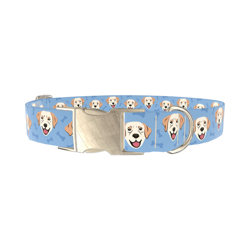 LABRADOR_BLUE