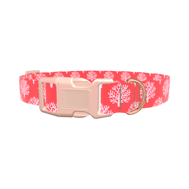 Coral Pattern Dog Collar - plastic gold