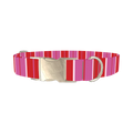 Red Pink Striped Dog Collar - metal silver
