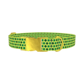Lime Clover Pattern Dog Collar - metal gold