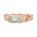 Avocado Toast Dog Collar - plastic silver