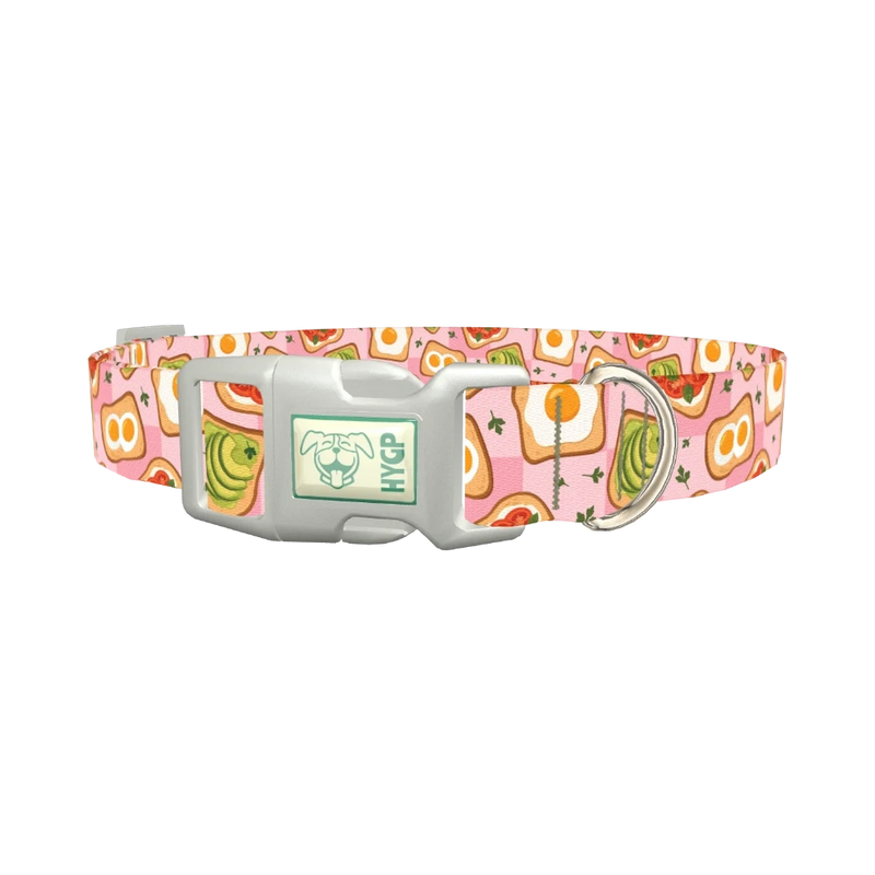 Avocado Toast Dog Collar - plastic silver