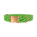 Green St. Patrick's Text Dog Collar - metal silver