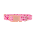 Valentine Heart Dog Collar - plastic rose gold