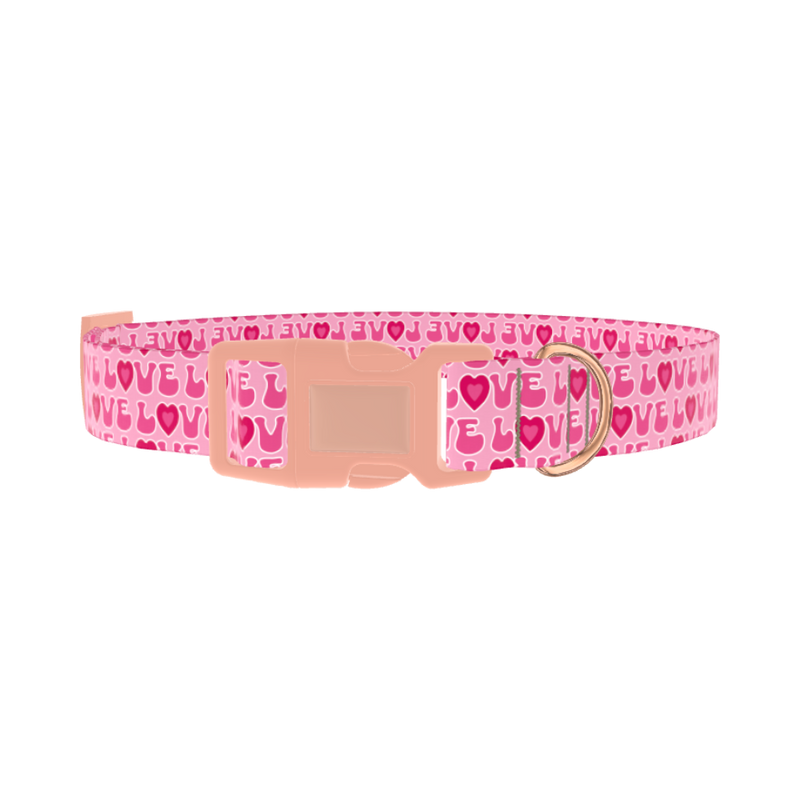 Valentine Heart Dog Collar - plastic rose gold