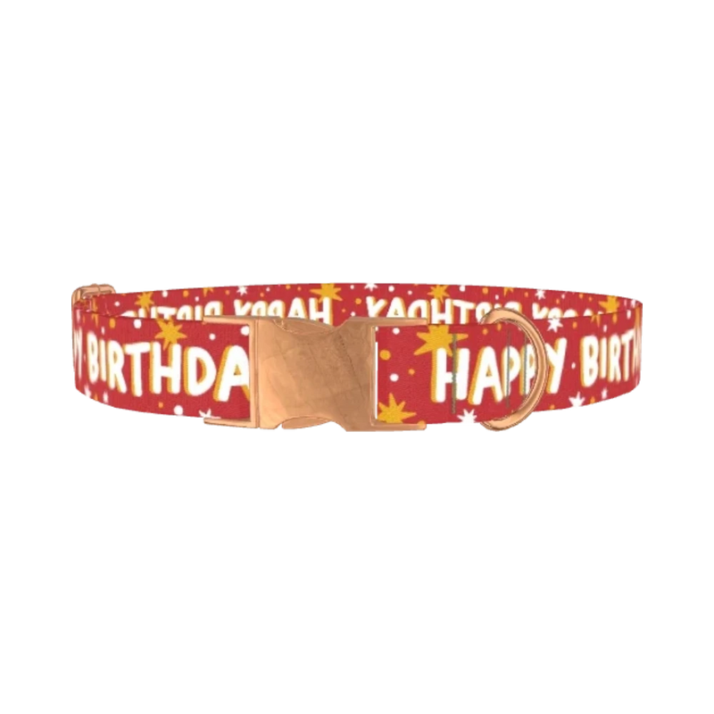 Starry Birthday Dog Collar - metal rose gold