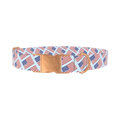 Stars and Stripes Dog Collar - metal rose gold