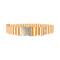 Halloween Stripes Dog Collar - metal silver