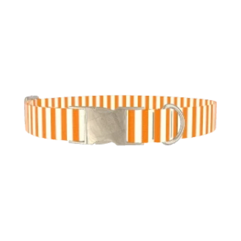 Halloween Stripes Dog Collar - metal silver