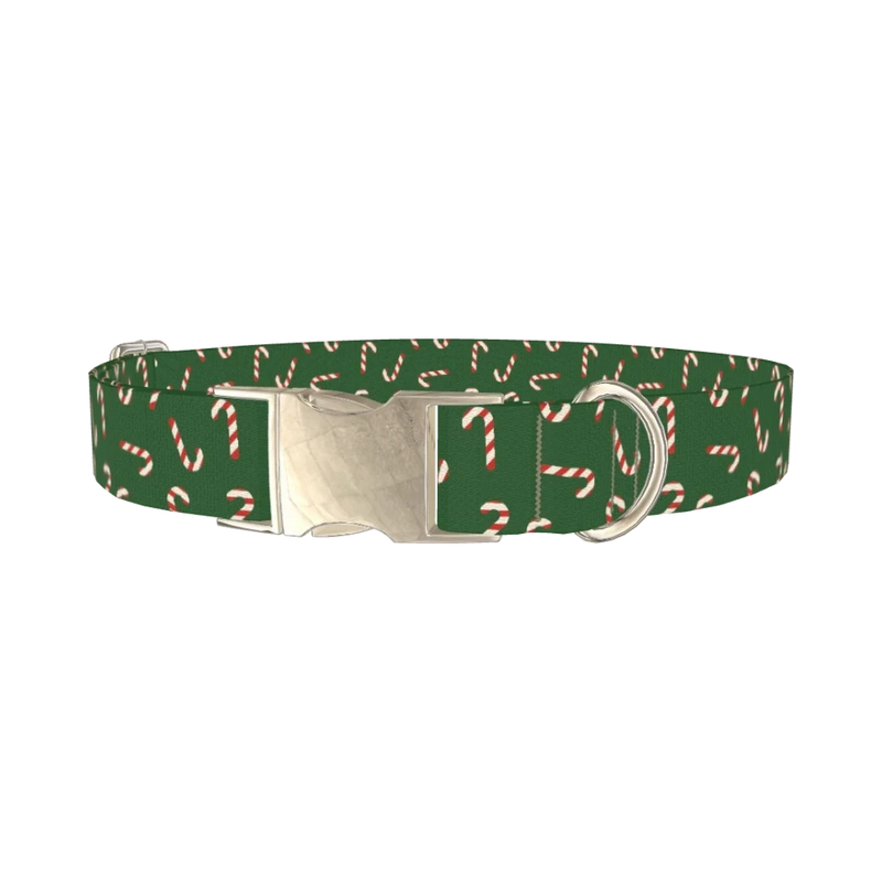 Green Candy Cane Dog Collar - metal silver
