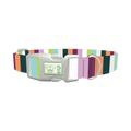 Colorful Stripe Dog Collar - plastic silver
