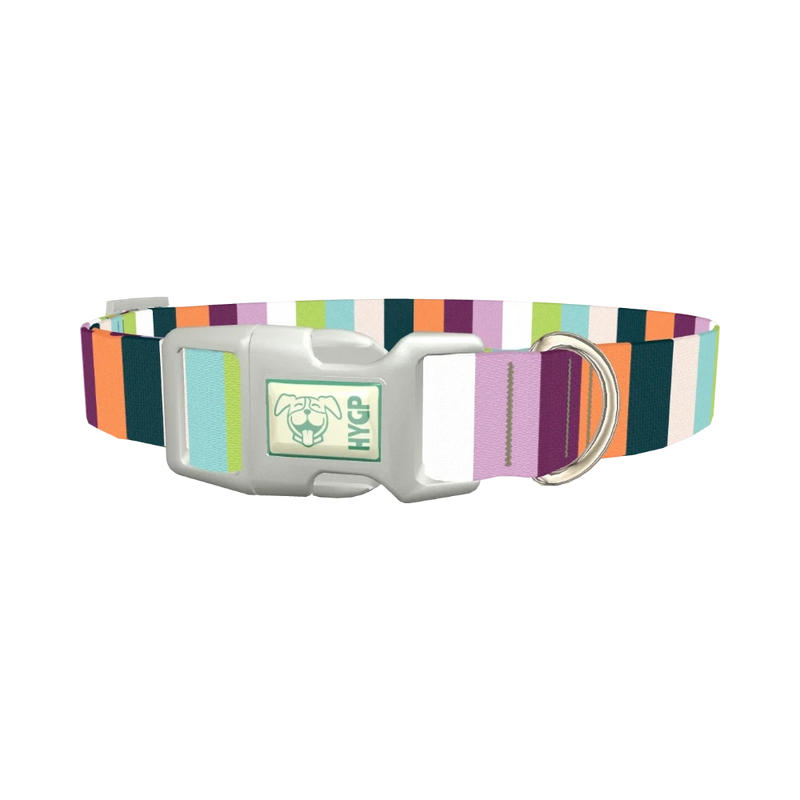 Colorful Stripe Dog Collar - plastic silver