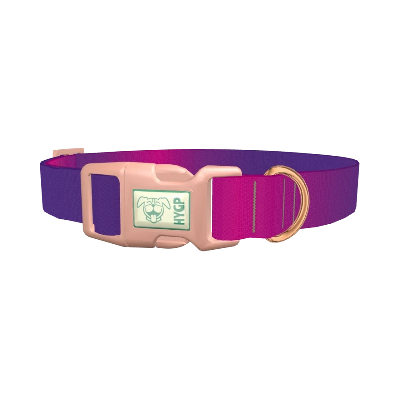 Pink Purple Gradient Dog Collar - plastic rose gold