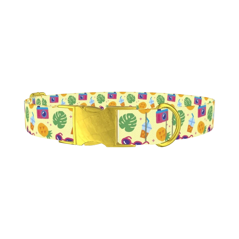 Pineapple Beach Dog Collar - metal gold