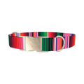 Mexican Stripe Dog Collar - metal silver