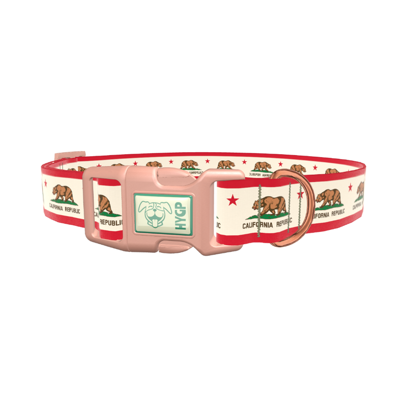 California Republic Flag Dog Collar - plastic gold