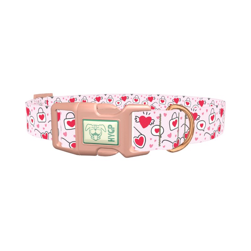 Heart Sunglasses Dog Collar - plastic rose gold