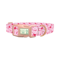 Pink Ribbon Heart 8870522388695 Dog Collar - plastic rose gold