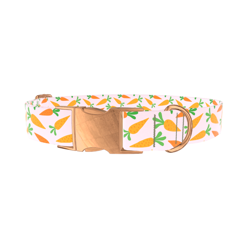 Carrot Garden Dog Collar - metal rose gold