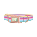 Pastel Striped Dog Collar - plastic rose gold