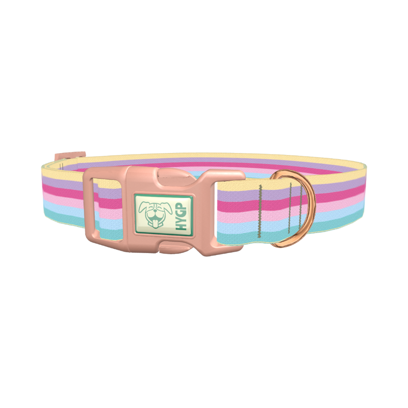 Pastel Striped Dog Collar - plastic rose gold