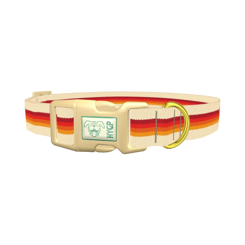 Retro Hexagon Stripe Dog Collar - plastic gold