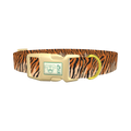 Tiger Stripe Dog Collar - plastic gold