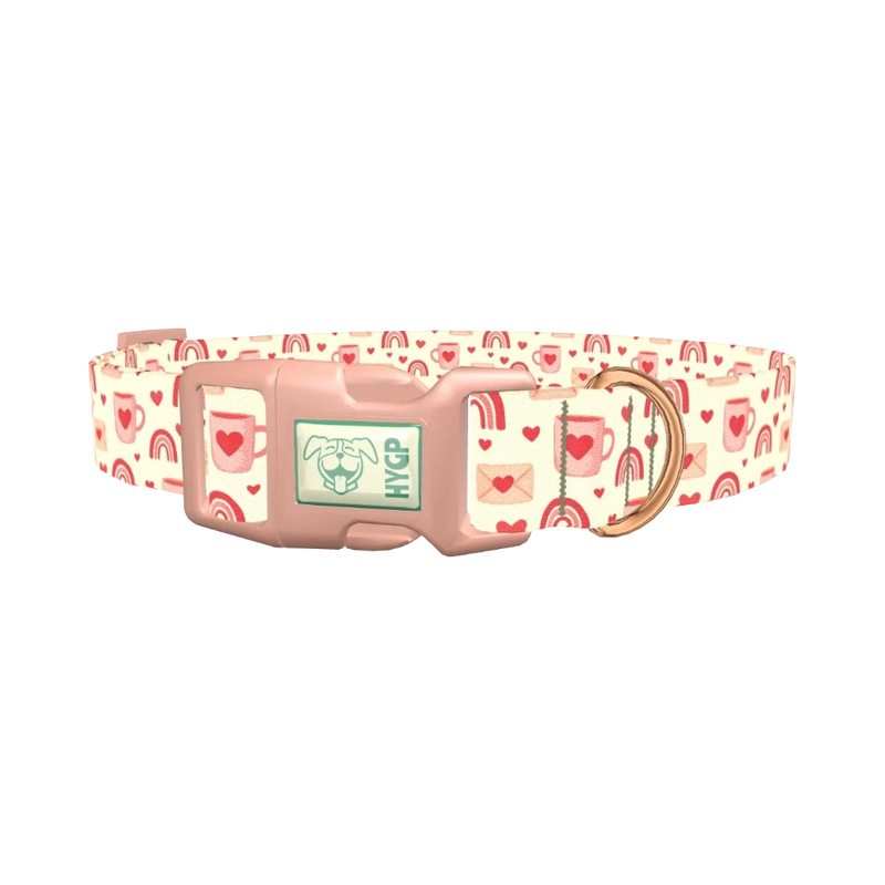 Valentine Mug and Envelope Dog Collar - plastic rose gold