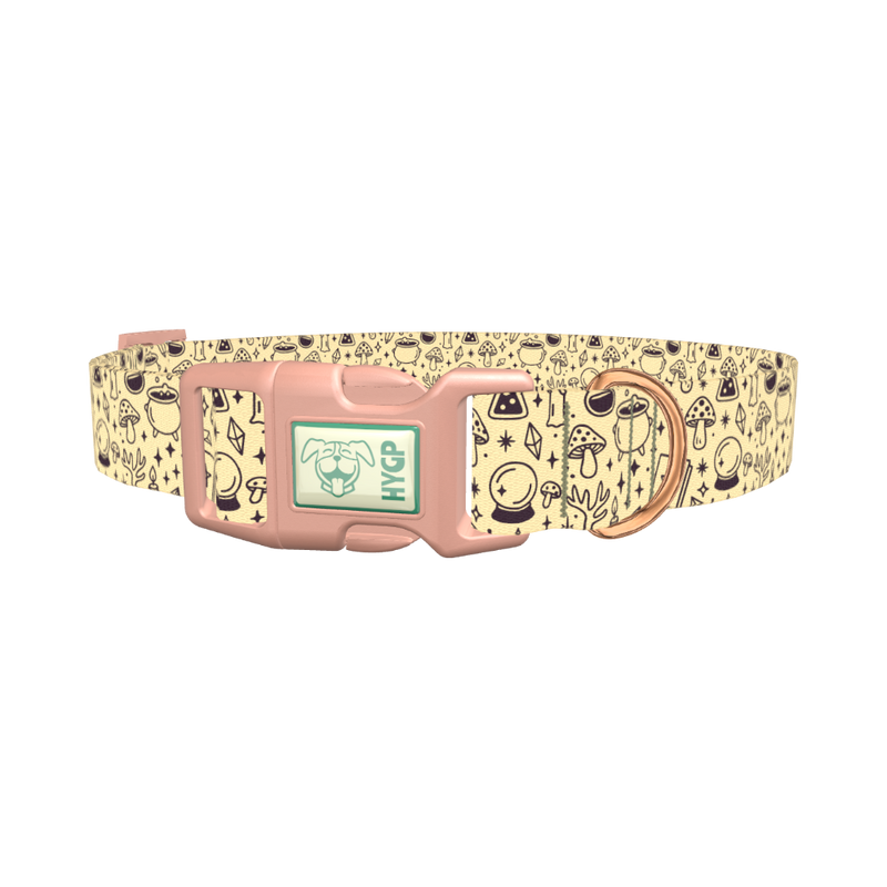 Witchy Halloween Dog Collar - plastic rose gold