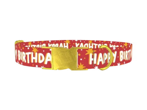 BIRTHDAY_08