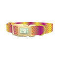 Colorful Snake Skin Dog Collar - plastic gold