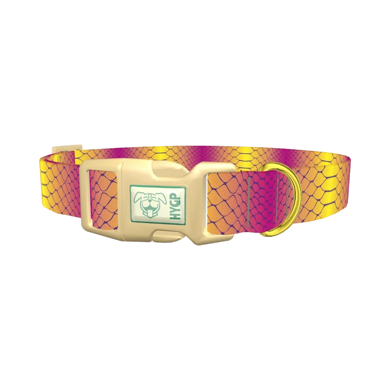 Colorful Snake Skin Dog Collar - plastic gold