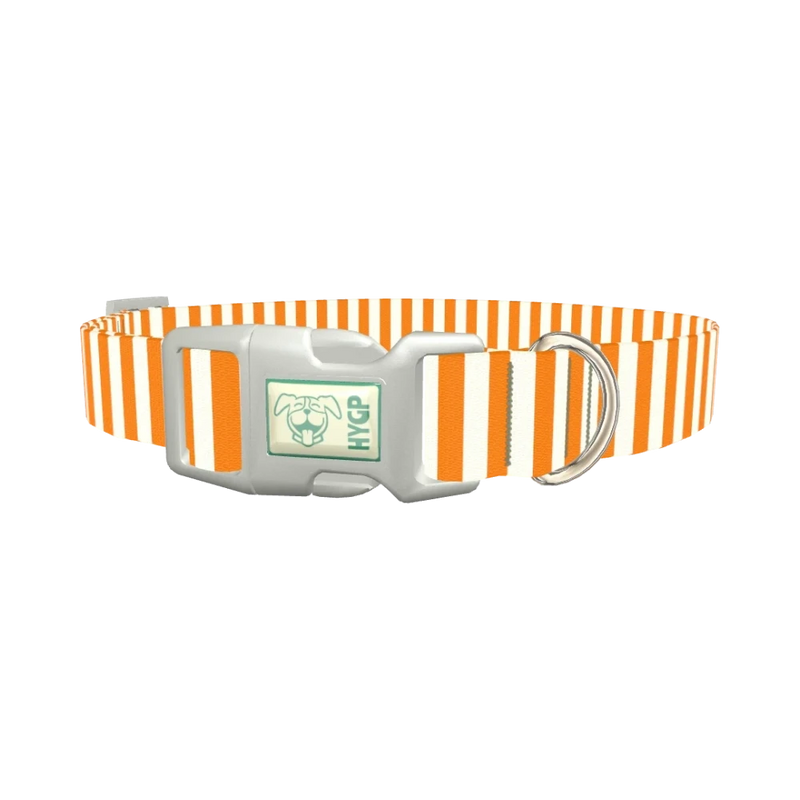 Halloween Stripes Dog Collar - plastic silver