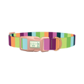 Rainbow Stripe Dog Collar - plastic rose gold