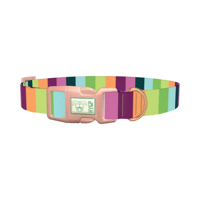 Rainbow Stripe Dog Collar - plastic rose gold