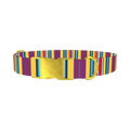 Yellow Purple Stripe Dog Collar - metal gold