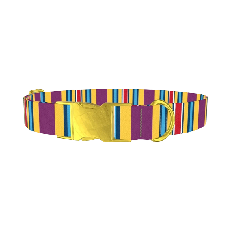 Yellow Purple Stripe Dog Collar - metal gold
