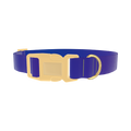 Blue Purple Gradient Dog Collar - plastic gold
