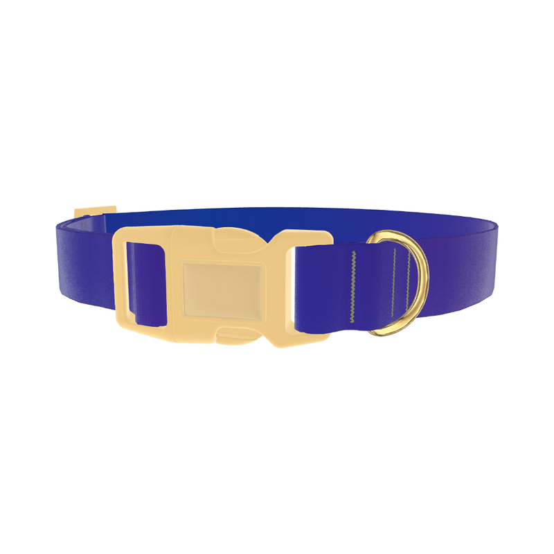 Blue Purple Gradient Dog Collar - plastic gold