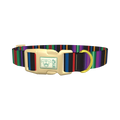 Bold Black Stripe Dog Collar - plastic gold