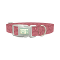 Geometric Eye Dog Collar - plastic silver