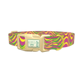 Colorful Wave Pattern Dog Collar - plastic gold