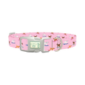 Surfing Dogs Pink Dog Collar - plastic silver