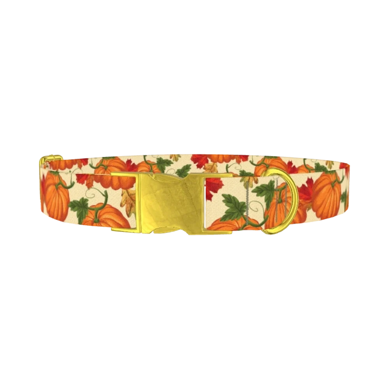 Autumn Pumpkin Dog Collar - metal gold