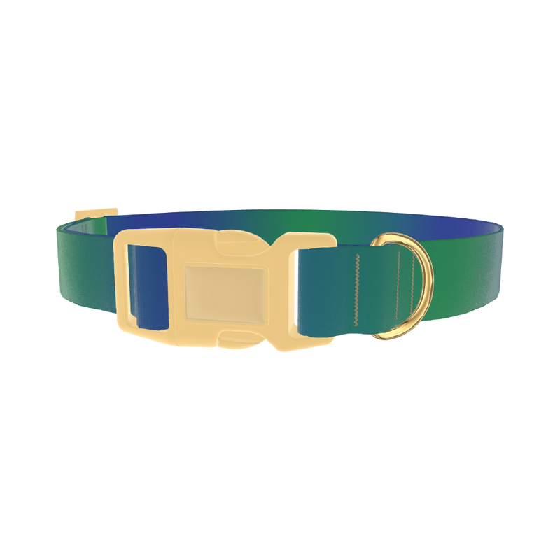 Gradient Blue Dog Collar - plastic gold