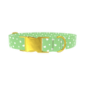 Green Heart Dog Collar - metal rose gold