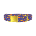 Space Comet Dog Collar - metal gold