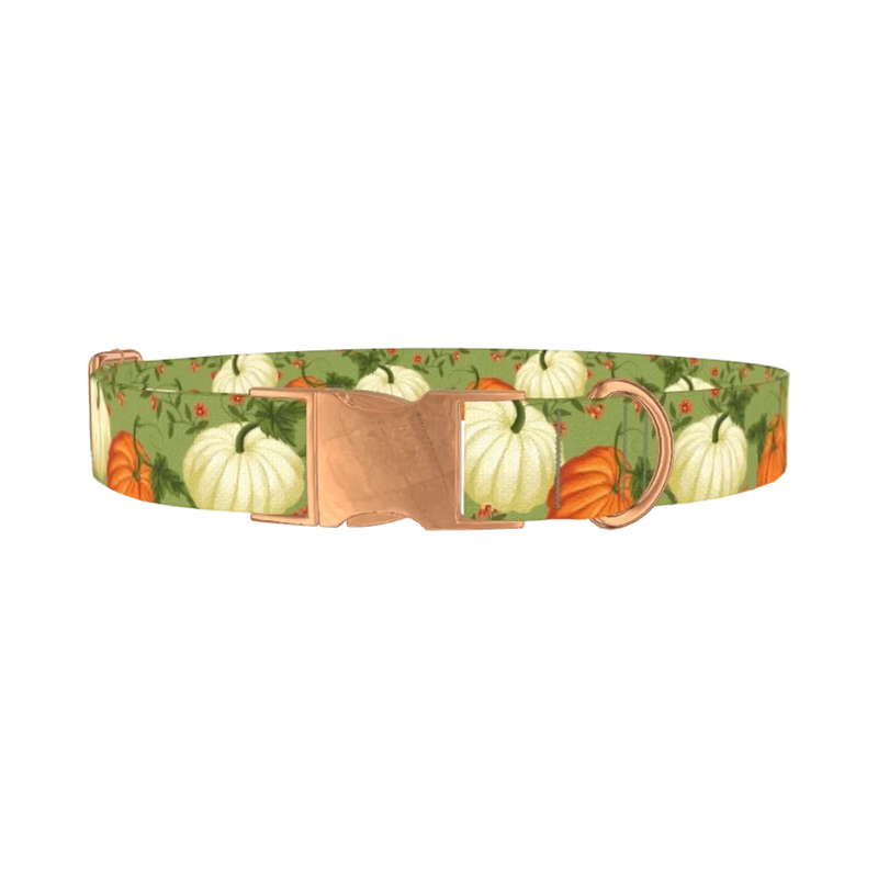 Pumpkin Floral Dog Collar - metal rose gold
