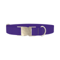 Blue Magenta Violet Color Dog Collar - metal silver