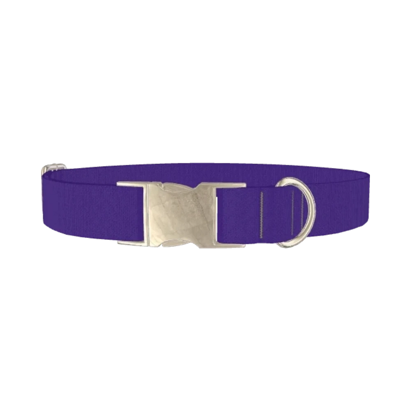 Blue Magenta Violet Color Dog Collar - metal silver